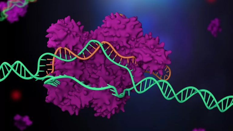 2 women earn Chemistry Nobel Prize for gene-editing tool CRISPR