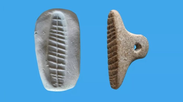 7,000-year-old letter seal found in Israel hints at ancient long-distance trade